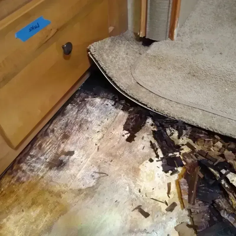 Wood Floor Water Damage in Gaston, SC